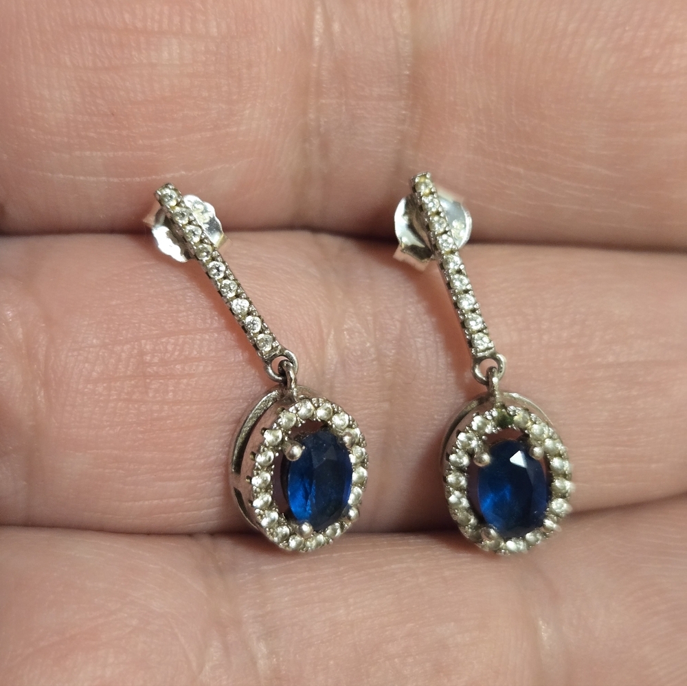 Elegant Blue and Sterling Silver Drop Earrings